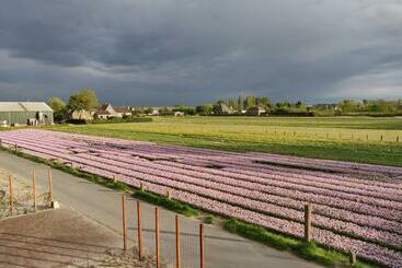 تختخواب و صبحانه Tulpenhoek