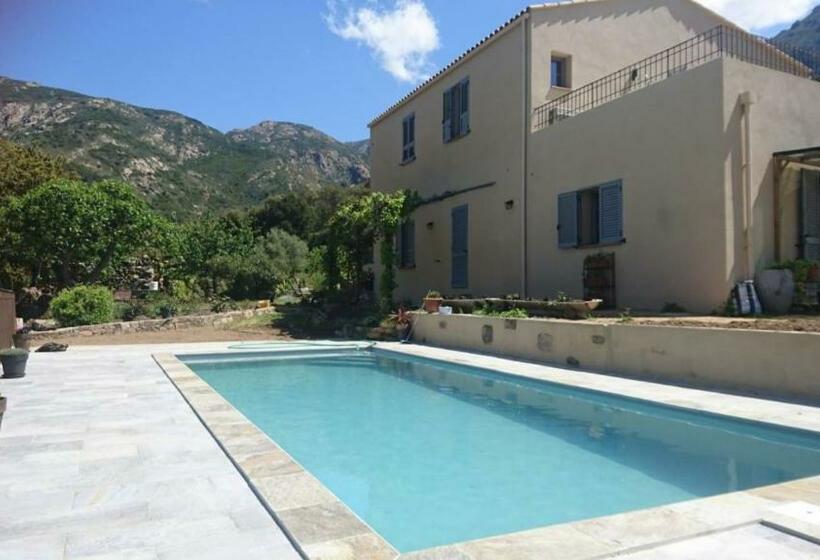 민박 Villa Capraghjese