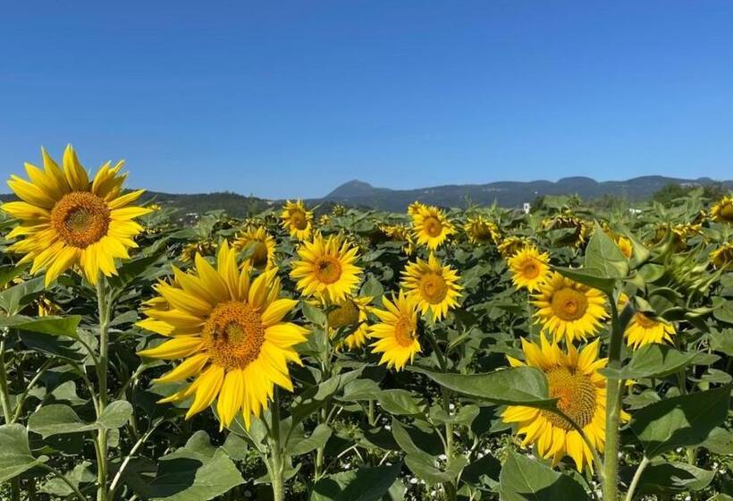 Villa Guillaumette B&b