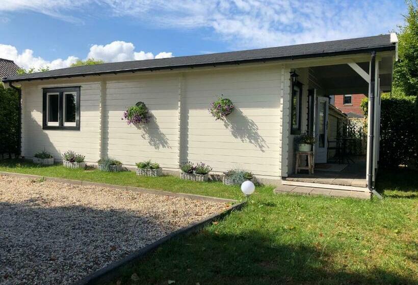 Bed & Breakfast Zevenhuizen