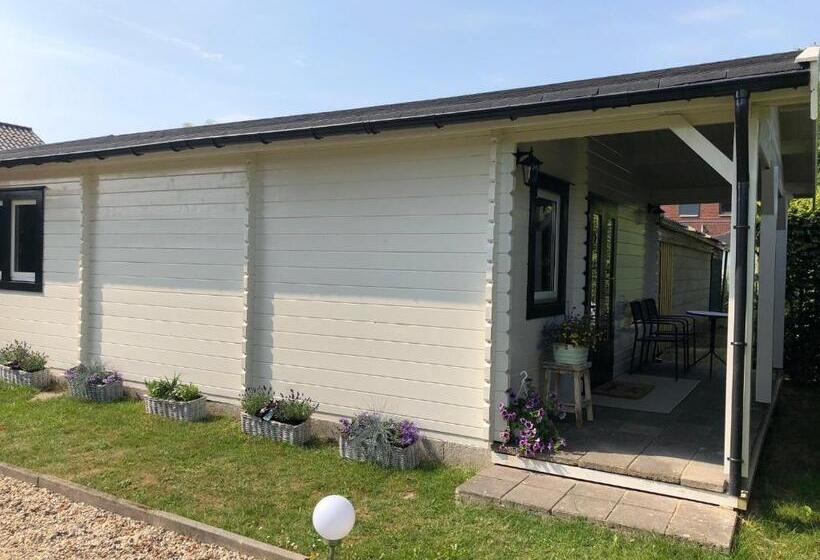 Bed & Breakfast Zevenhuizen