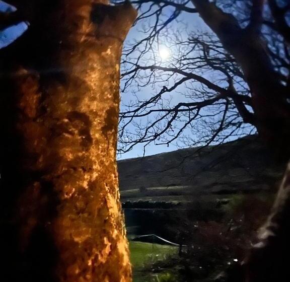 Granville House Apartments & Glamping Site