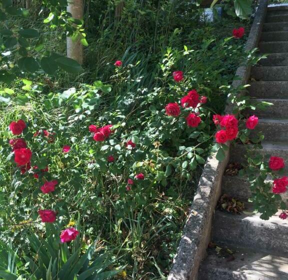 Green B&b Urbino Cá Del Vento