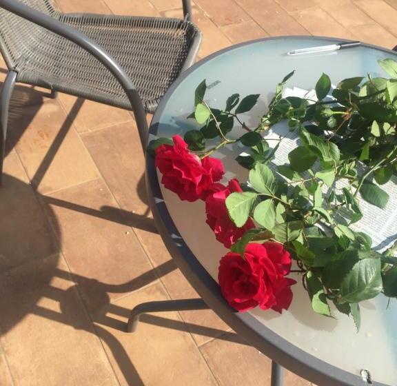 Green B&b Urbino Cá Del Vento