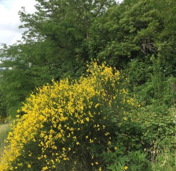 Green B&b Urbino Cá Del Vento