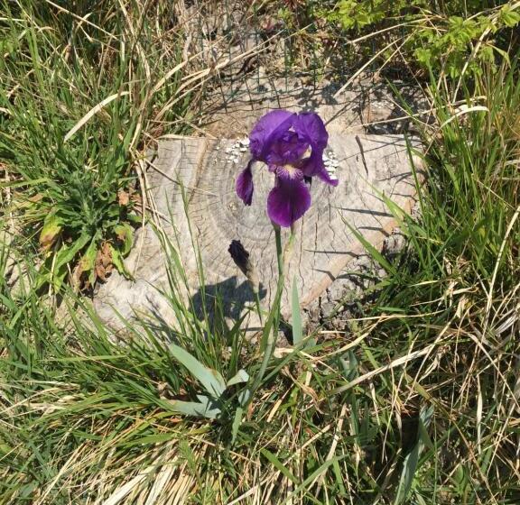 Green B&b Urbino Cá Del Vento