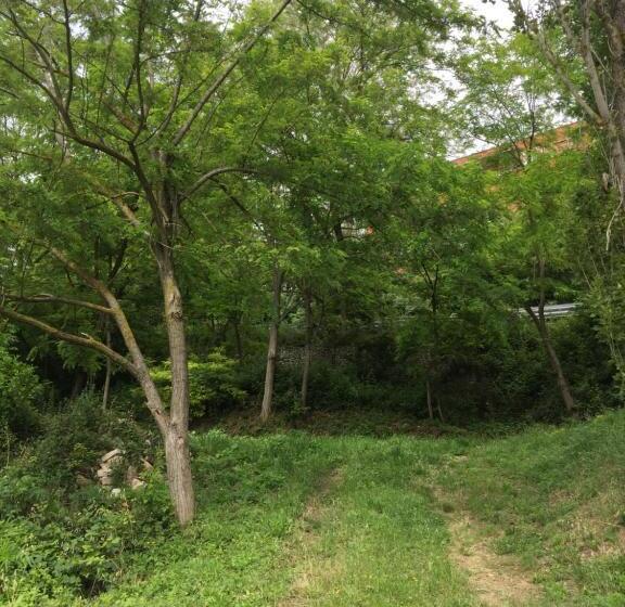 Green B&b Urbino Cá Del Vento