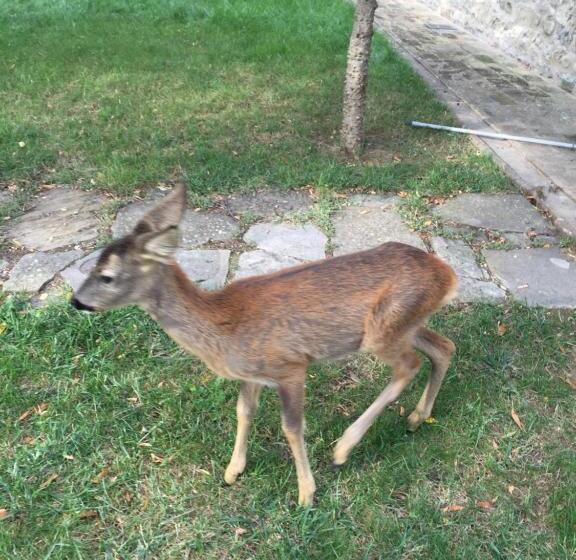 Green B&b Urbino Cá Del Vento