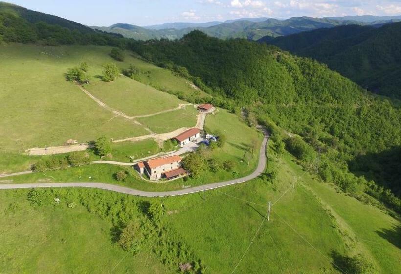 ホテル Agriturismo Cà Nova