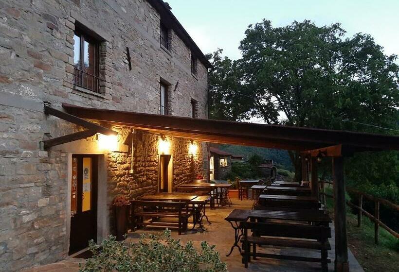 בית מלון כפרי Agriturismo Cà Nova