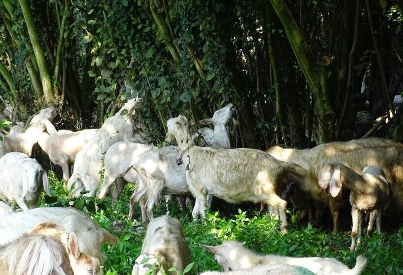 فندق Corte Isolo