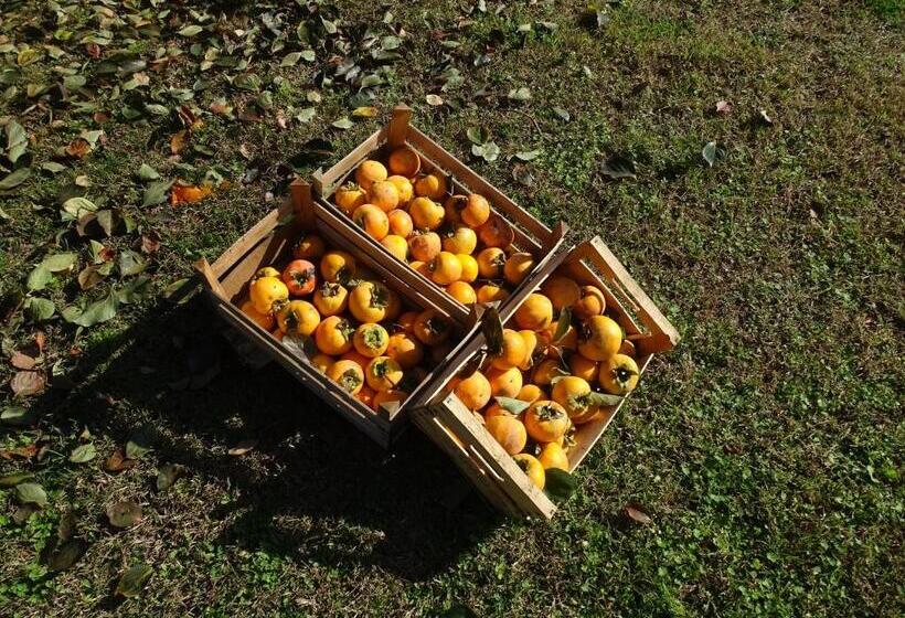 فندق Corte Isolo