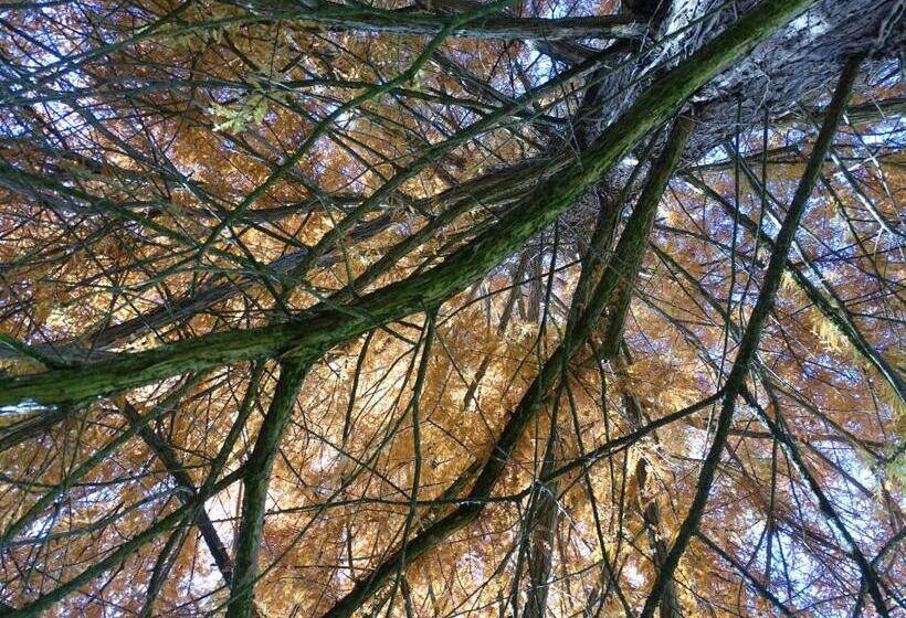 فندق Corte Isolo