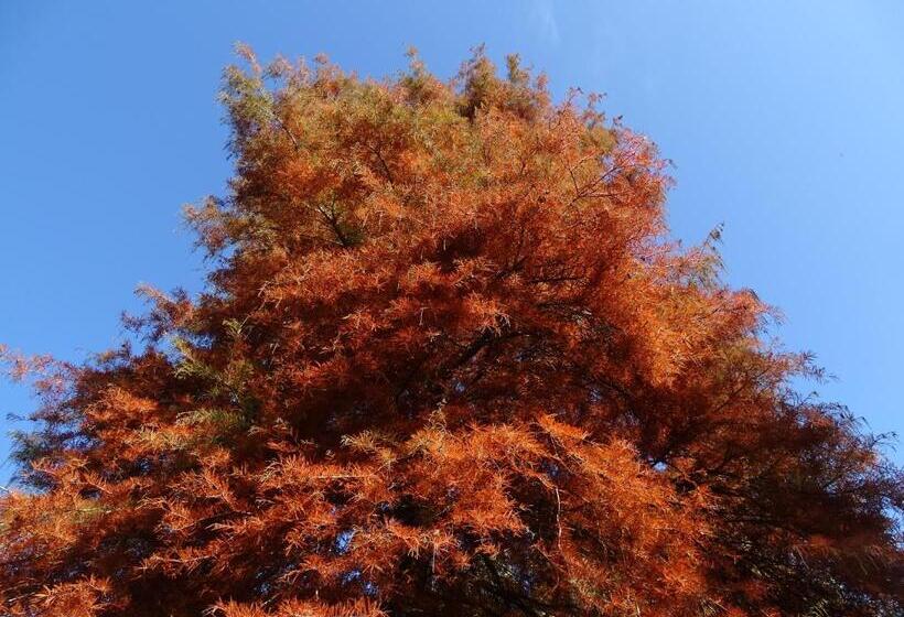 فندق Corte Isolo