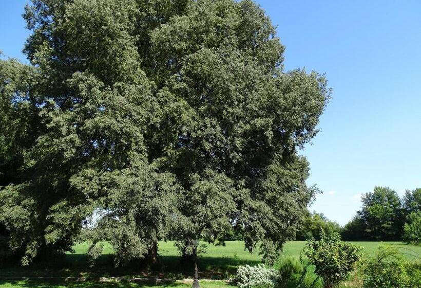 فندق Corte Isolo