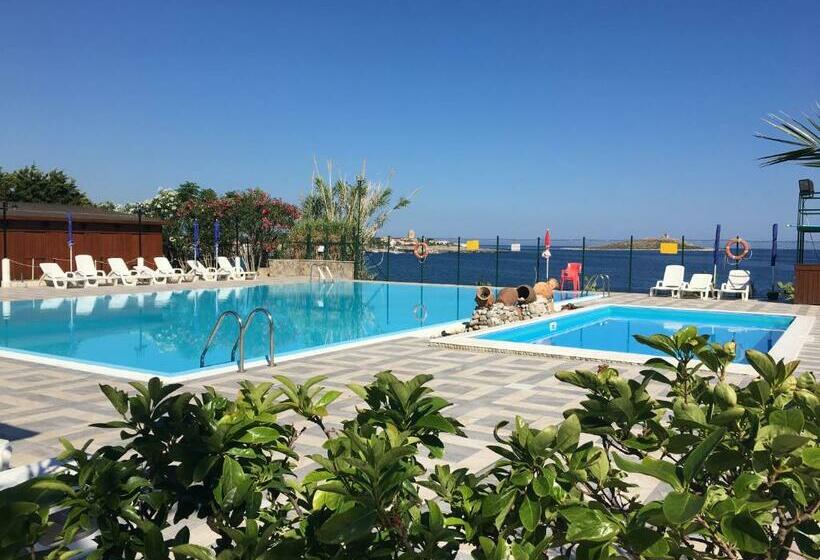 호텔 Scogliera Azzurra