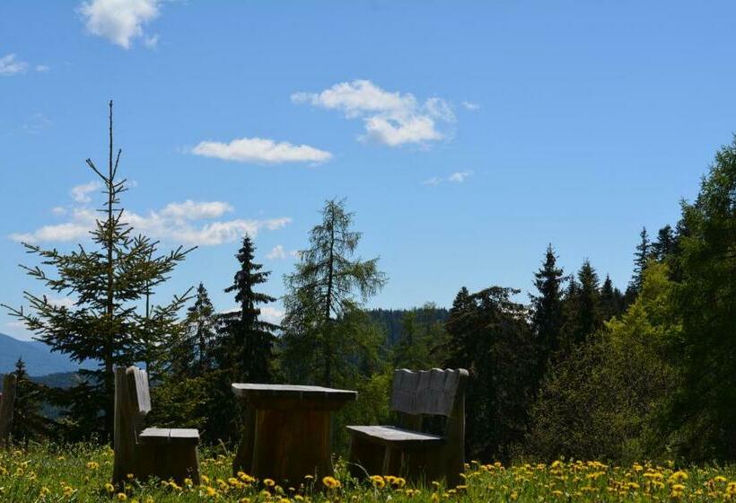 Отель Obkirchhof