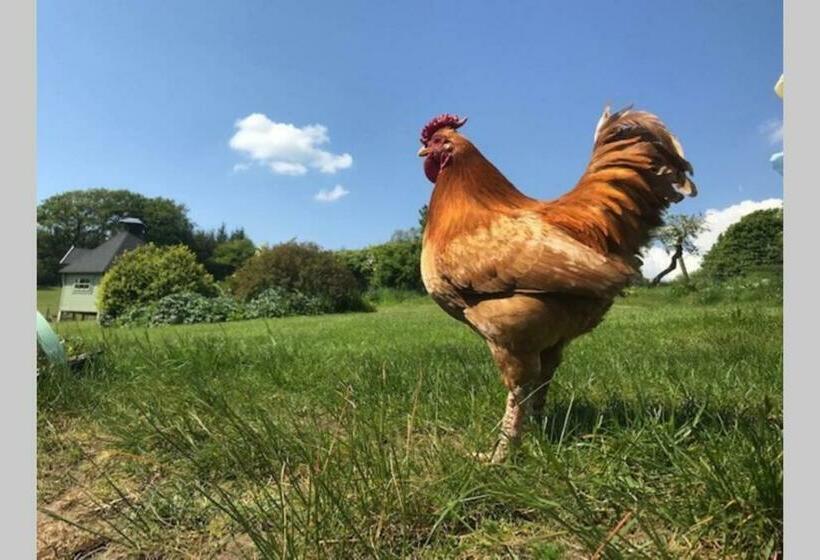 ホテル South Barlogan Farm