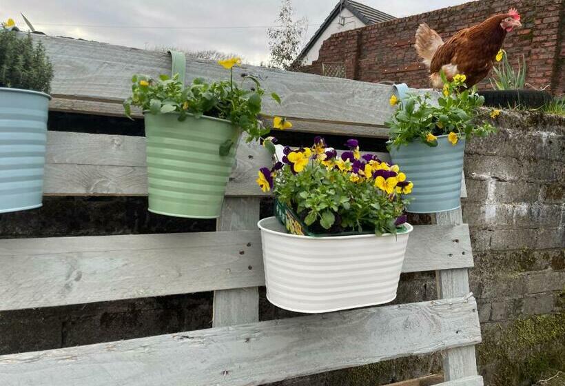 酒店 South Barlogan Farm