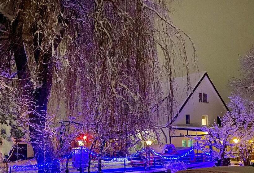 モーテル Riedwirtshaus