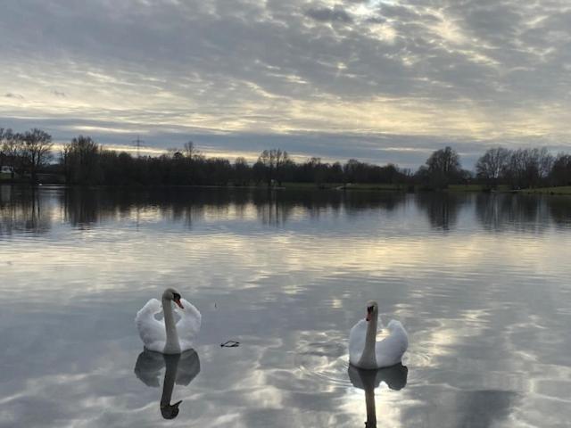 モーテル Riedwirtshaus