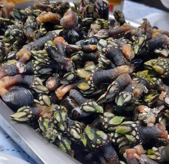 Пансион Casa Mestre