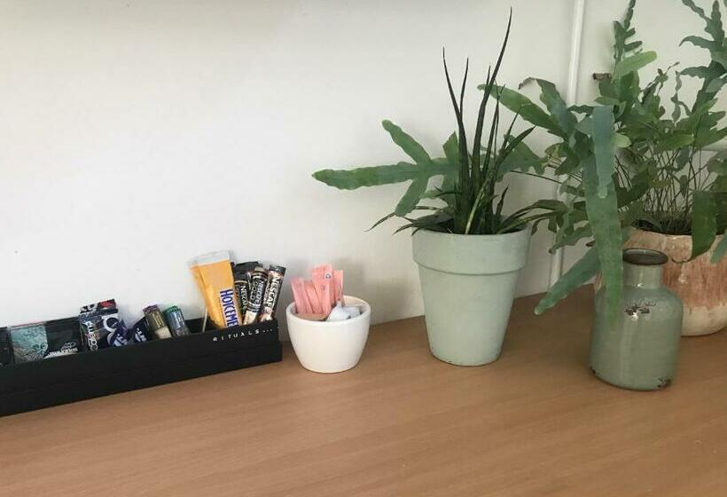 פנסיון De Vlies