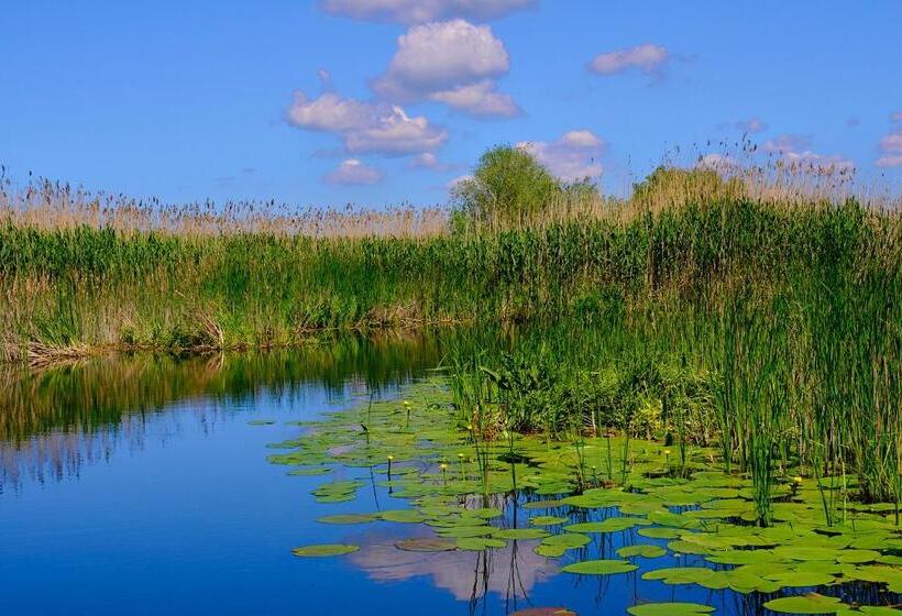 Пансион Dumbrava