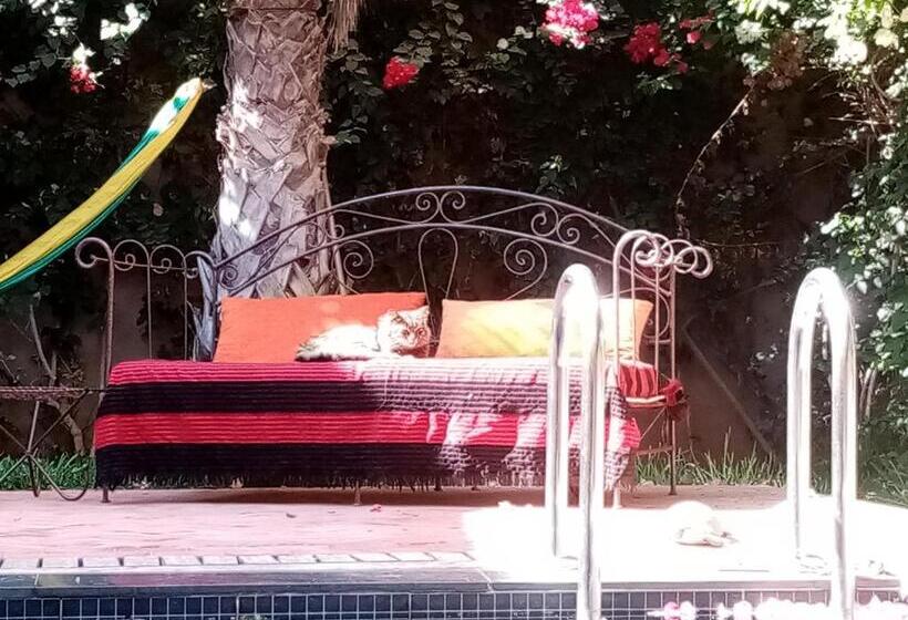 پانسیون Janna D Ifni