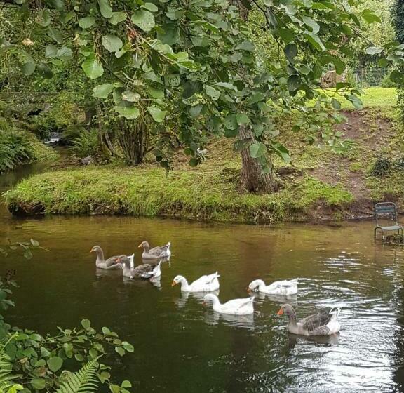 ペンション La Maison De Louise