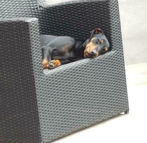 ペンション La Maison De Louise