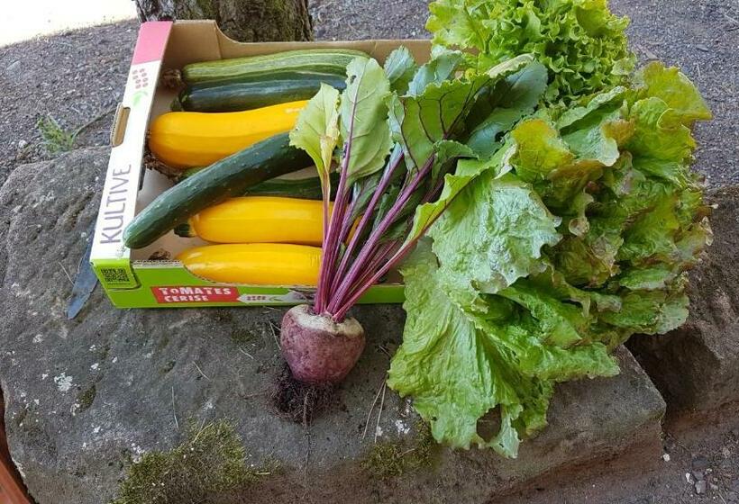 ペンション La Maison De Louise