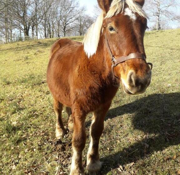 펜션 La Tiny Des 3 Pics