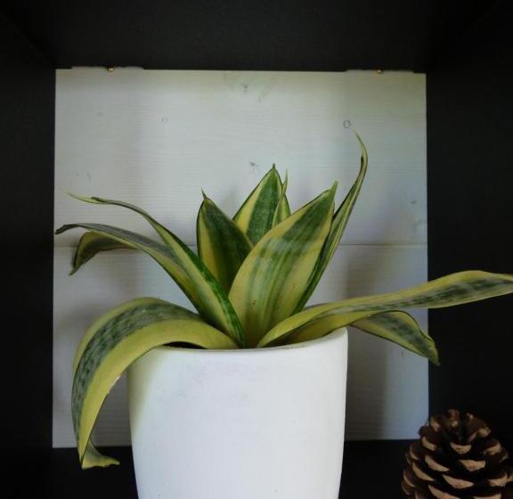 펜션 La Tiny Des 3 Pics