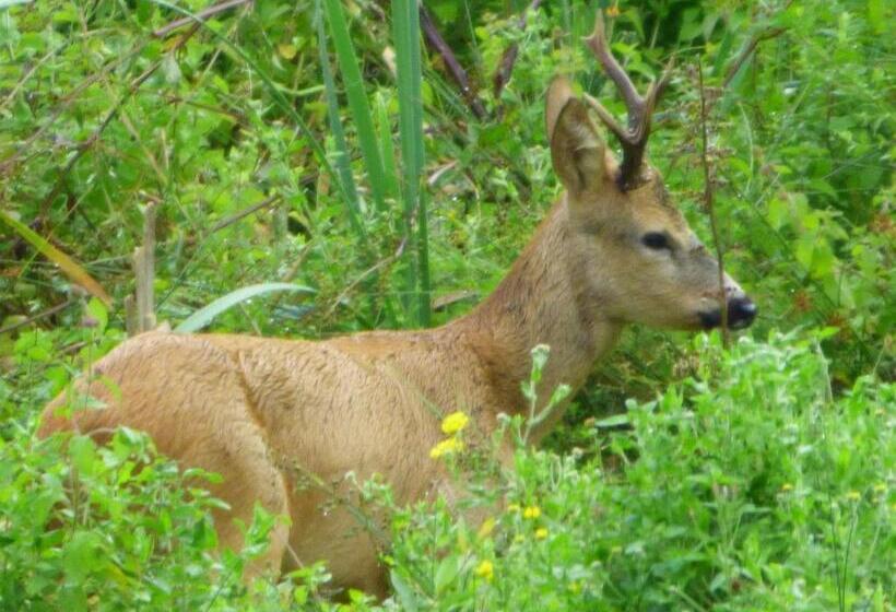 펜션 La Tiny Des 3 Pics