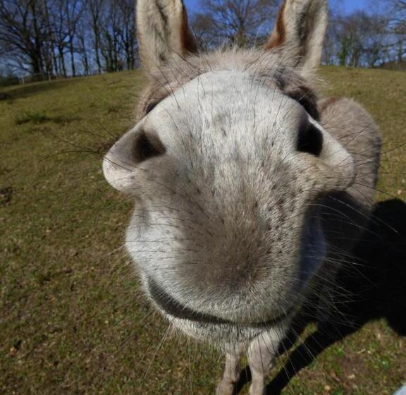 펜션 La Tiny Des 3 Pics