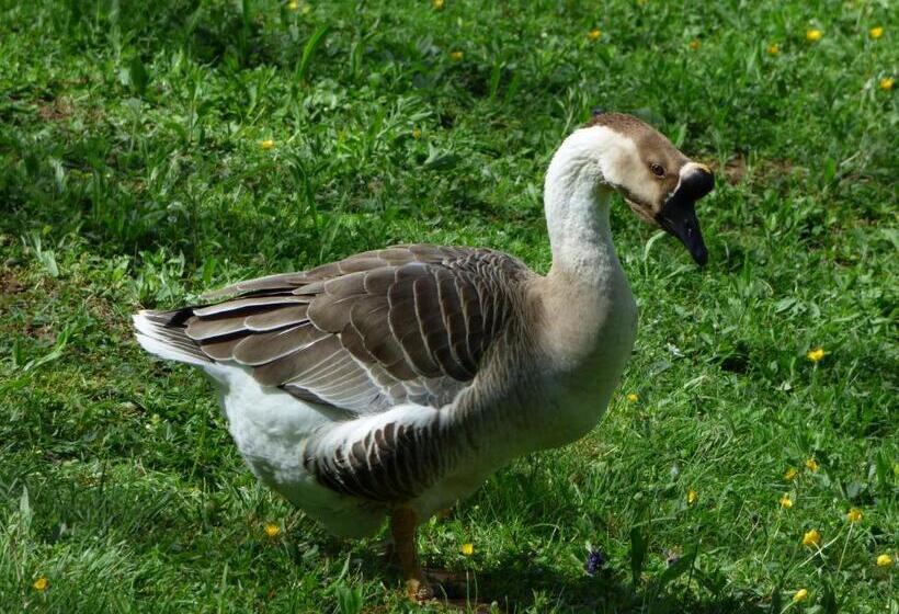 펜션 La Tiny Des 3 Pics