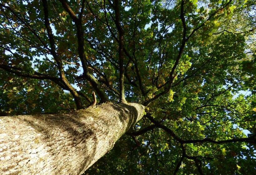 펜션 La Tiny Des 3 Pics