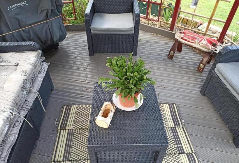 פנסיון Lily Of The Valley