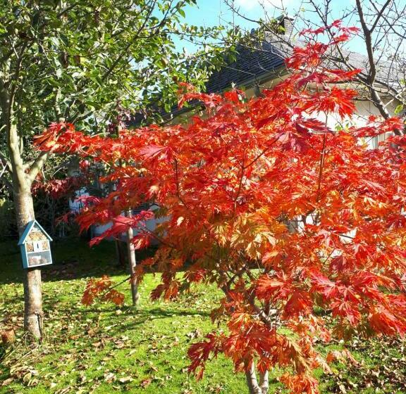 ペンション Studio La Rotonde