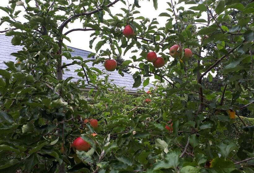 ペンション Studio La Rotonde