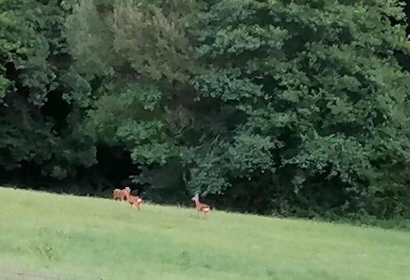 Пансион ô Vents D Anges   Maison D Hôtes