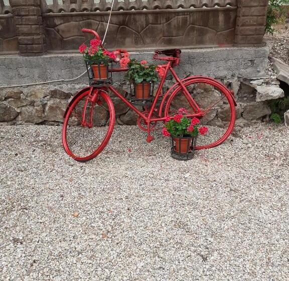 Pensiunea Casa Brancusi