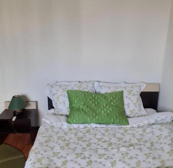 Pensiunea Casa Brancusi