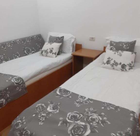 Pensiunea Casa Brancusi