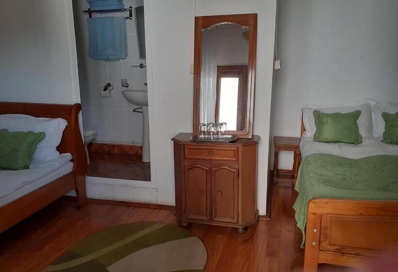 Pensiunea Casa Brancusi