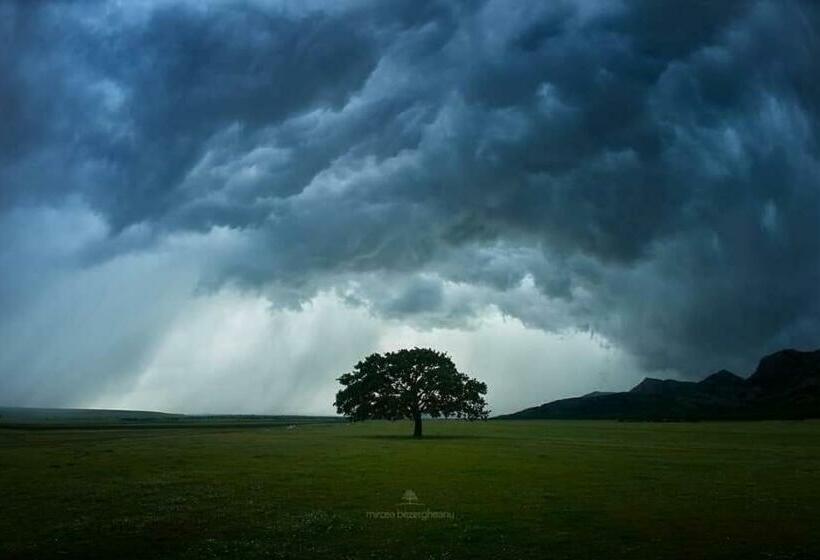 Pensiunea Happy Flowers