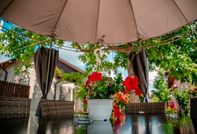 Pensiunea Happy Flowers