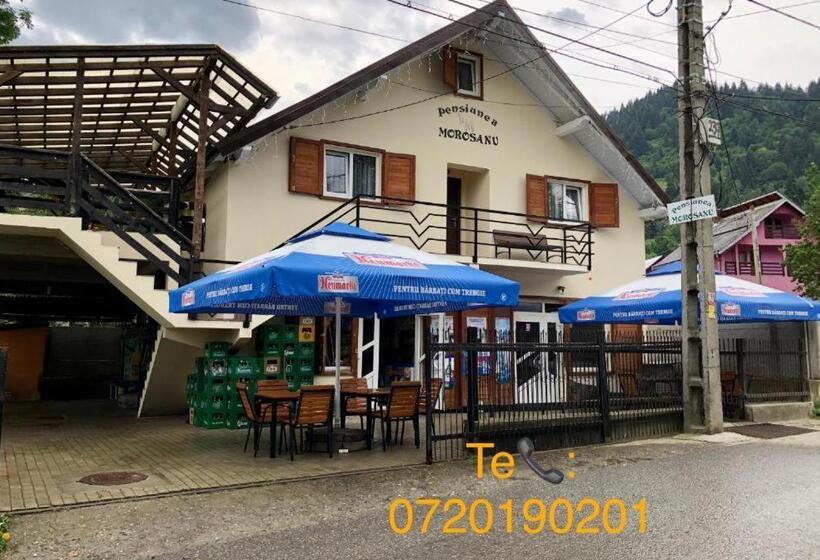 Pensiunea Morosanu
