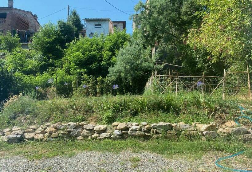 Dolce Vita In Tuscany B&b